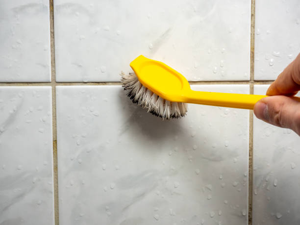Best Fast Mold Removal  in South Barrington, IL