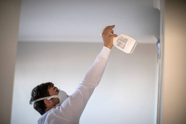Best Toxic Mold Removal  in South Barrington, IL