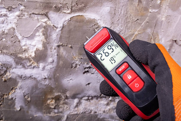 Best Mold Testing  in South Barrington, IL