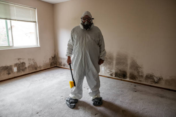 Best Residential Mold Removal  in South Barrington, IL